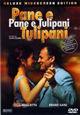 DVD Pane e tulipani - Brot und Tulpen