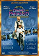 DVD Cinema Paradiso