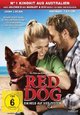 DVD Red Dog - Ein Held auf vier Pfoten