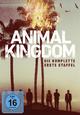 DVD Animal Kingdom - Season One (Episodes 1-3)