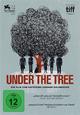 DVD Under the Tree