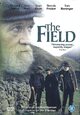 DVD The Field