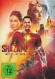 DVD Shazam! 2 - Fury of the Gods